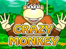 Crazy Monkey 2